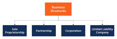 businessstructure